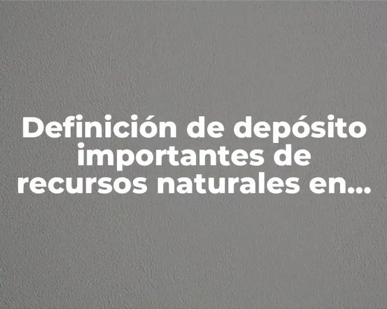 Definición de depósito importantes de recursos naturales en una empresa