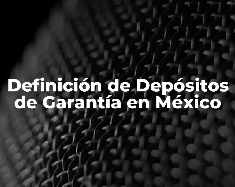 Definición de Depósitos de Garantía en México