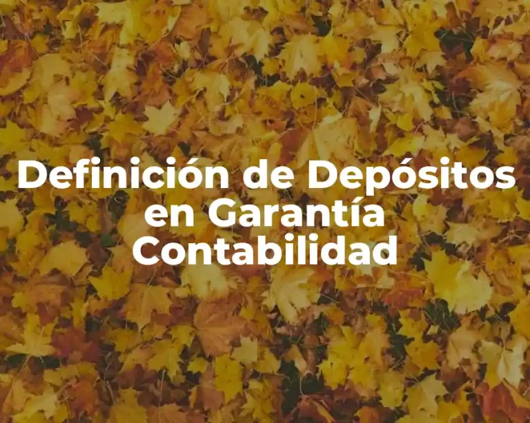 Definición de Depósitos en Garantía Contabilidad