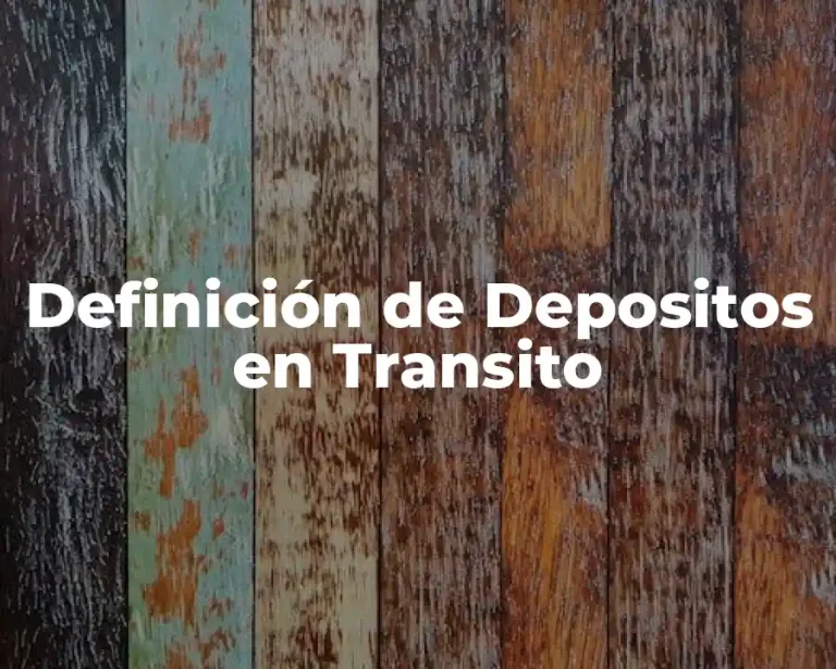 Definición de Depositos en Transito