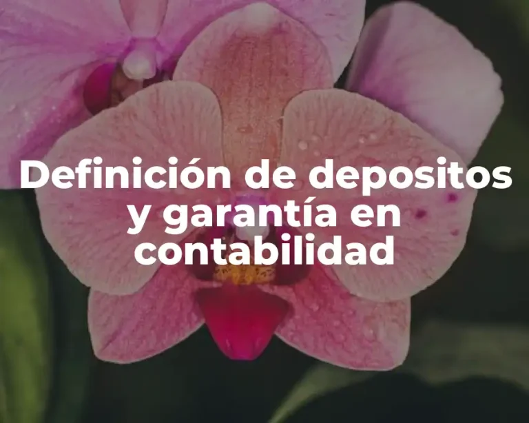 Definición de depositos y garantía en contabilidad
