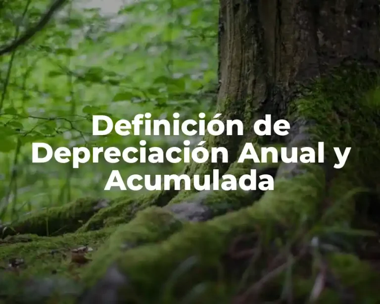 Definición de Depreciación Anual y Acumulada