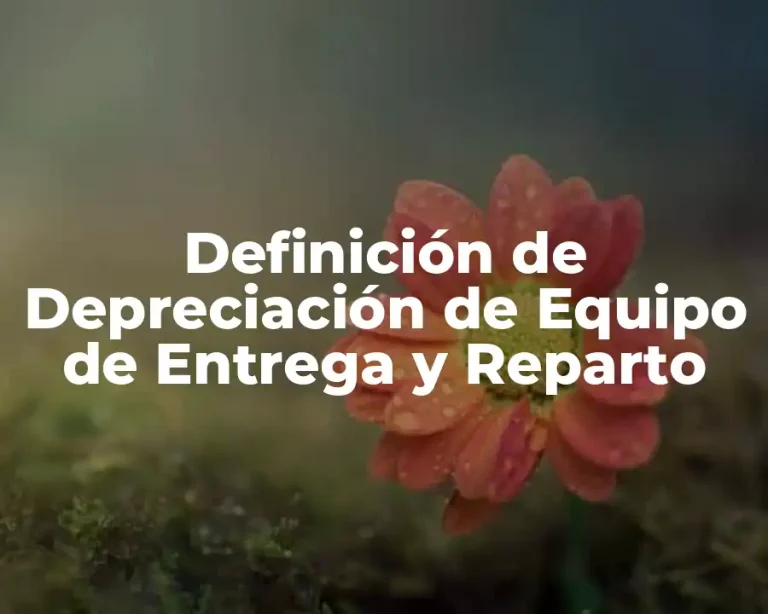 Definición de Depreciación de Equipo de Entrega y Reparto