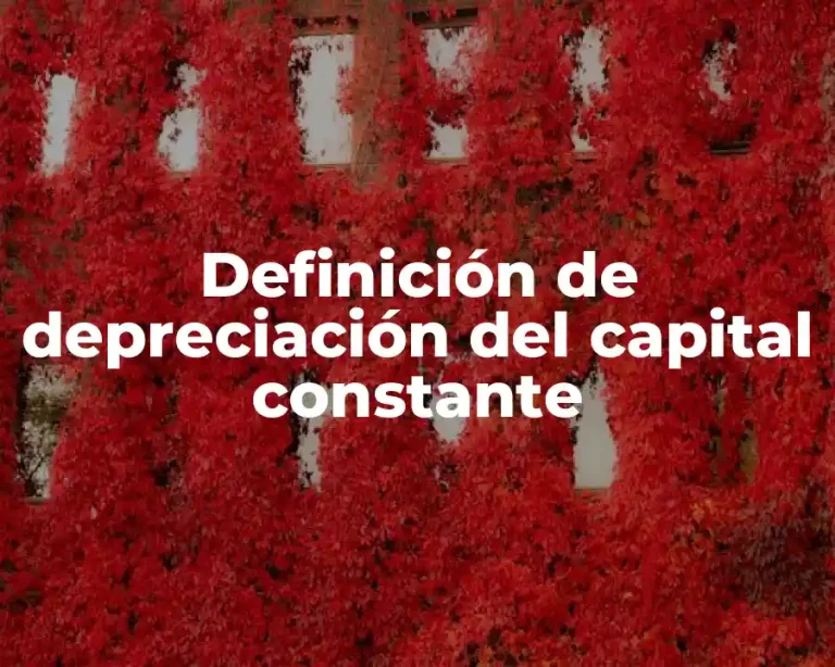 Definición de depreciación del capital constante