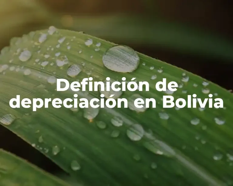 Definición de depreciación en Bolivia