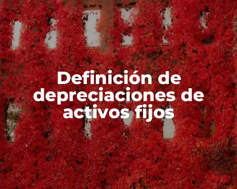 Definición de depreciaciones de activos fijos