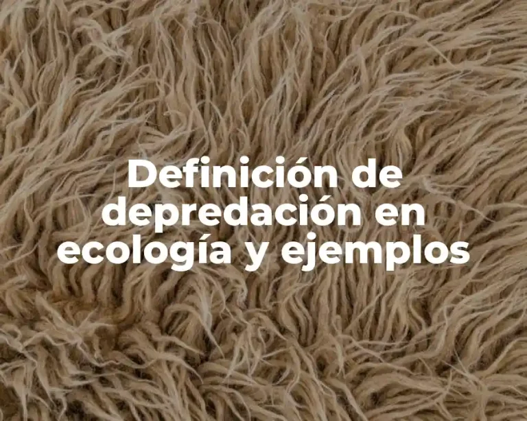 Definición de depredación en ecología y ejemplos