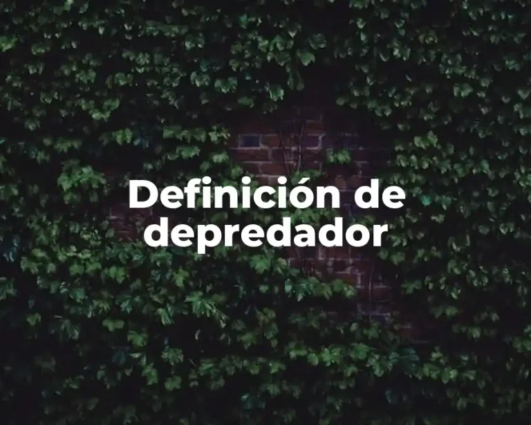 Definición de depredador
