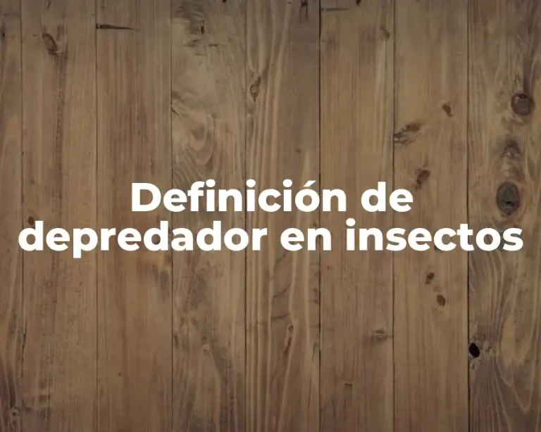 Definición de depredador en insectos