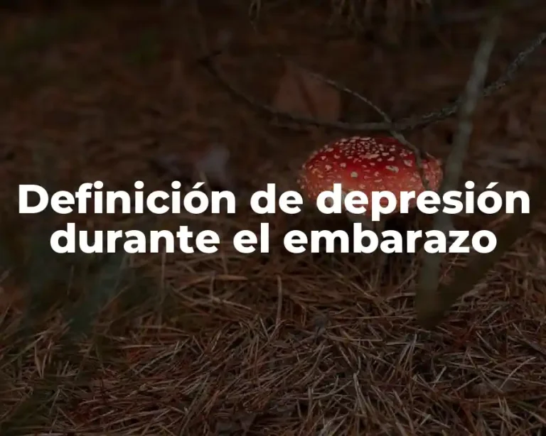Definición de depresión durante el embarazo