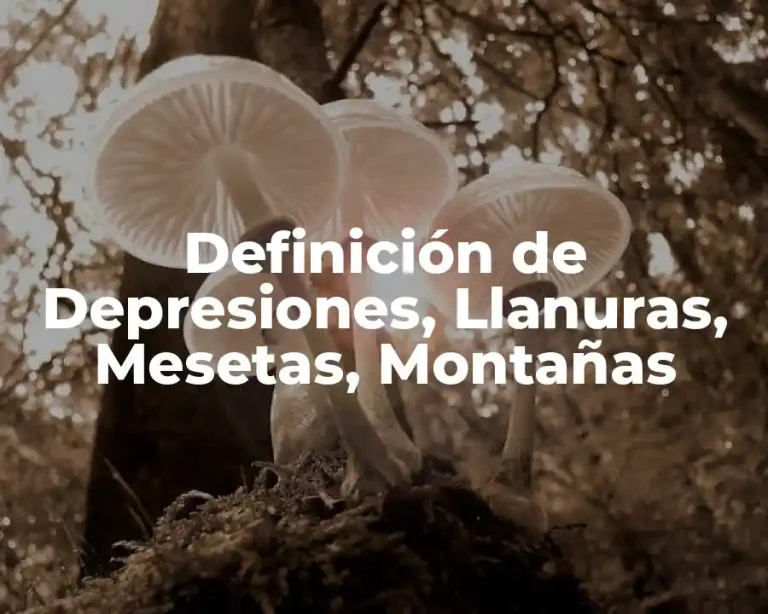 Definición de Depresiones, Llanuras, Mesetas, Montañas