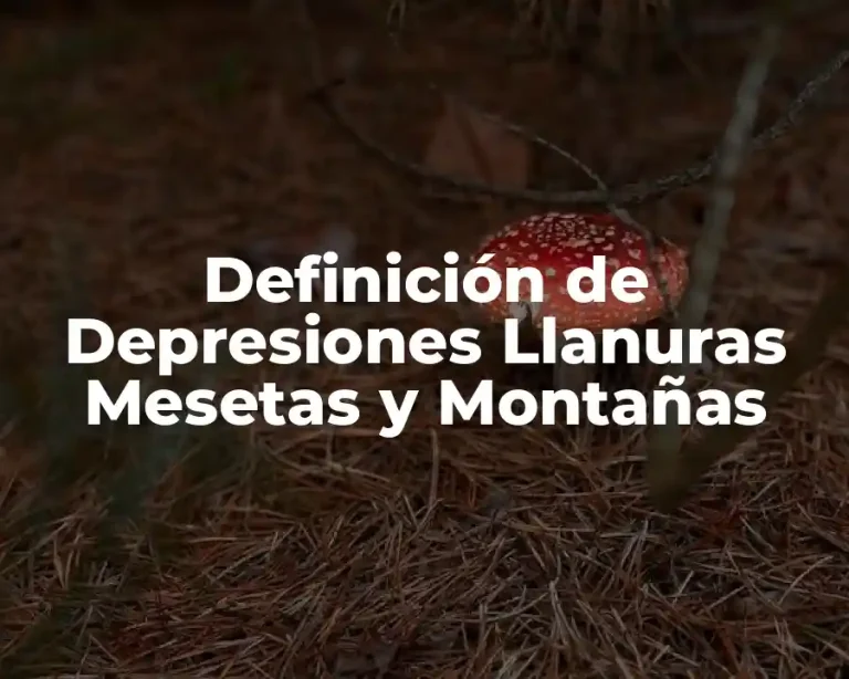 Definición de Depresiones Llanuras Mesetas y Montañas