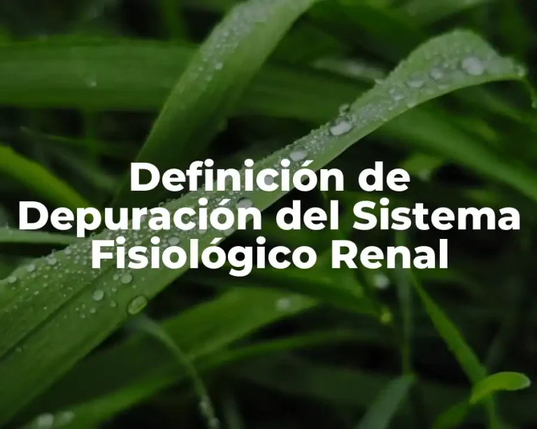 Definición de Depuración del Sistema Fisiológico Renal