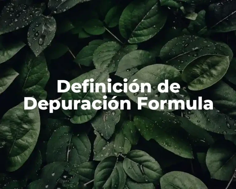 Definición de Depuración Formula
