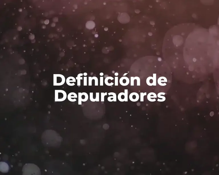 Definición de Depuradores