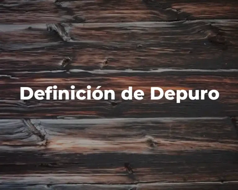 Definición de Depuro