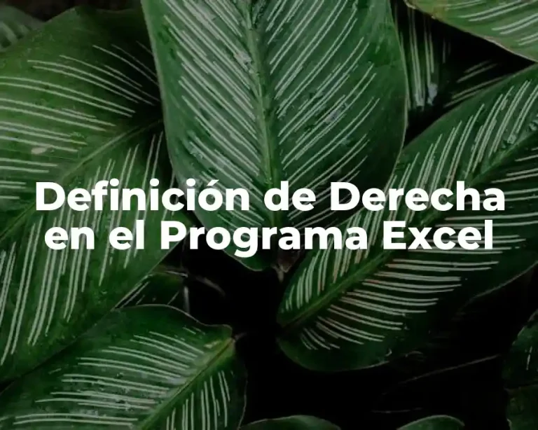 Definición de Derecha en el Programa Excel