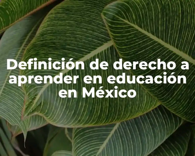 Definición de derecho a aprender en educación en México