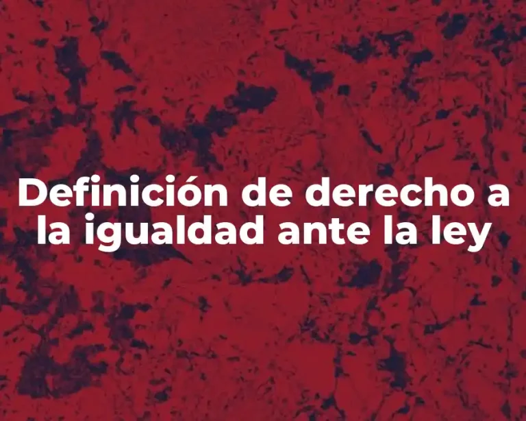 Definición de derecho a la igualdad ante la ley