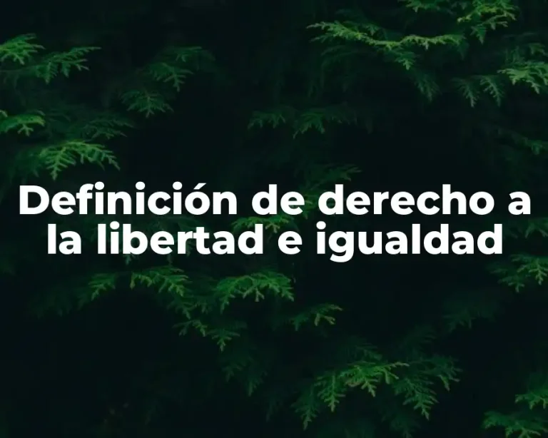 Definición de derecho a la libertad e igualdad