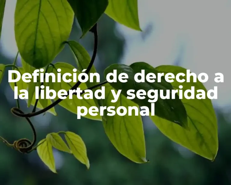 Definición de derecho a la libertad y seguridad personal