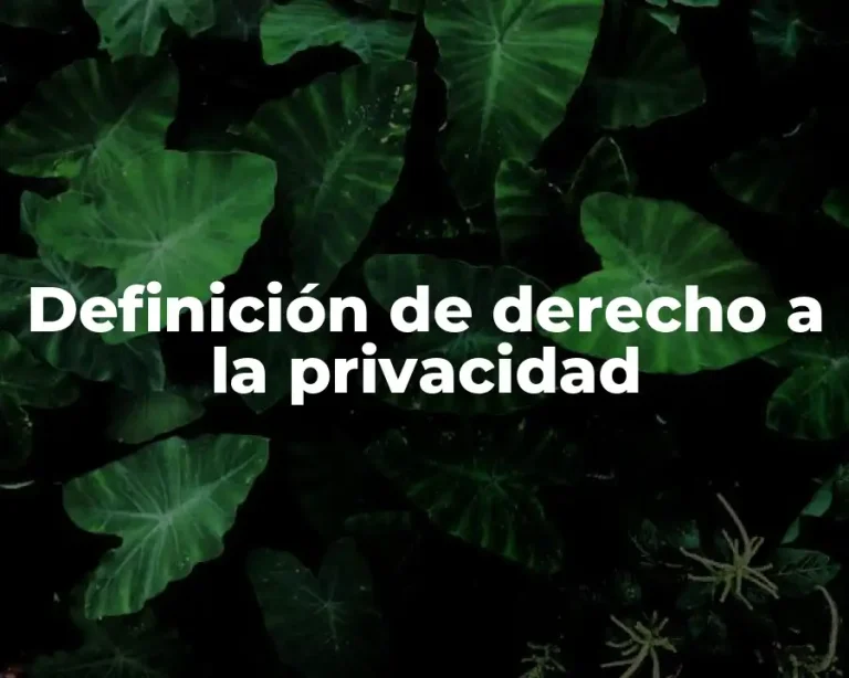 Definición de derecho a la privacidad