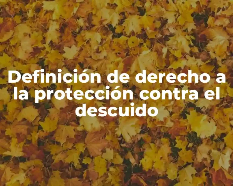 Definición de derecho a la protección contra el descuido