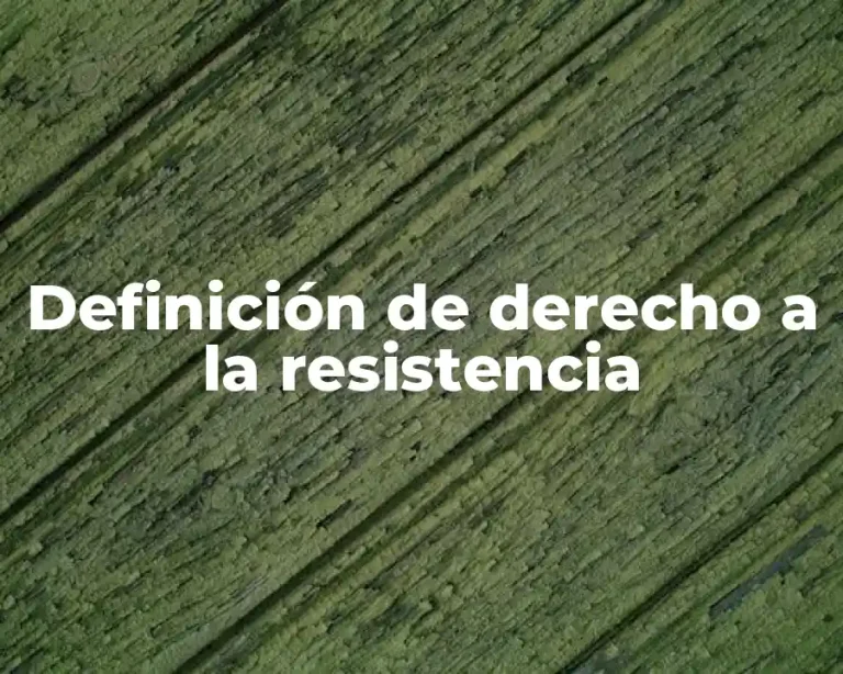 Definición de derecho a la resistencia