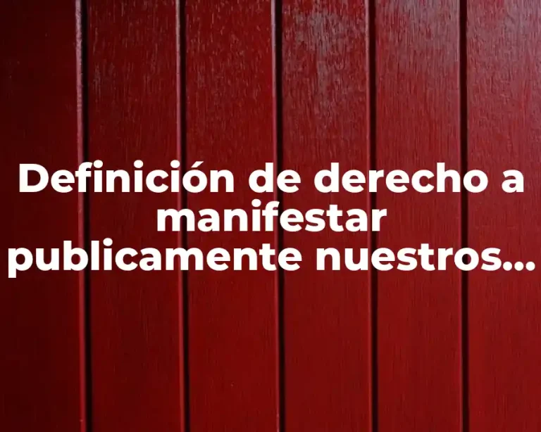 Definición de derecho a manifestar publicamente nuestros afectos