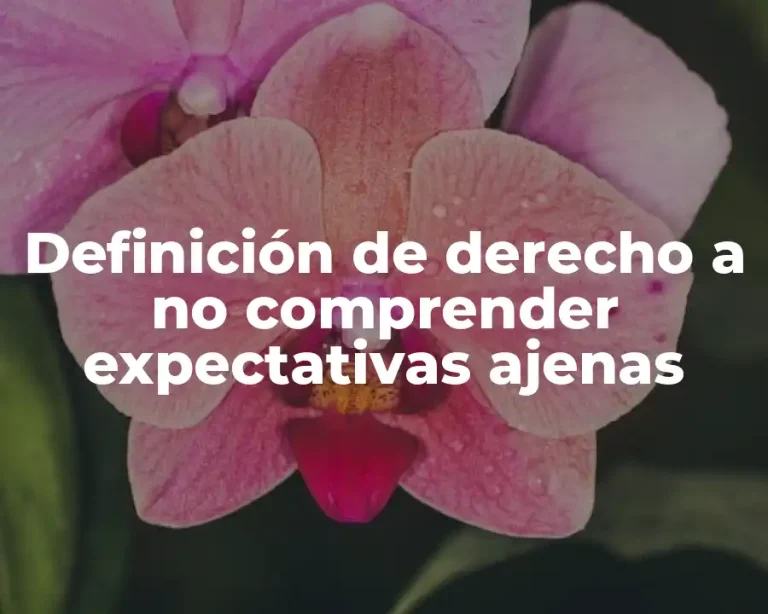 Definición de derecho a no comprender expectativas ajenas