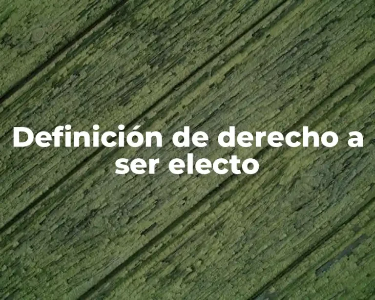 Definición de derecho a ser electo