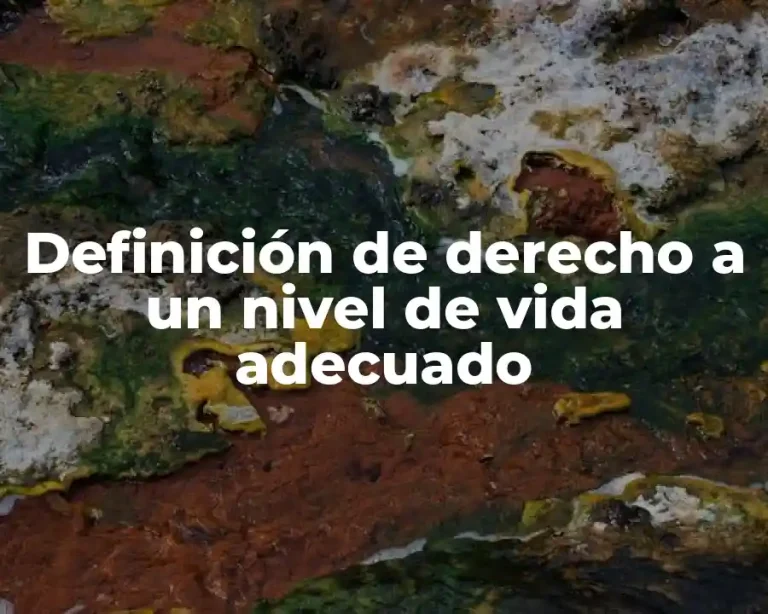 Definición de derecho a un nivel de vida adecuado