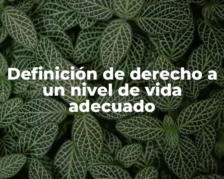 Definición de derecho a un nivel de vida adecuado