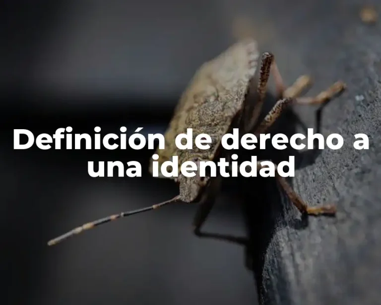 Definición de derecho a una identidad