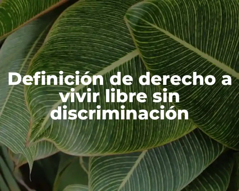 Definición de derecho a vivir libre sin discriminación