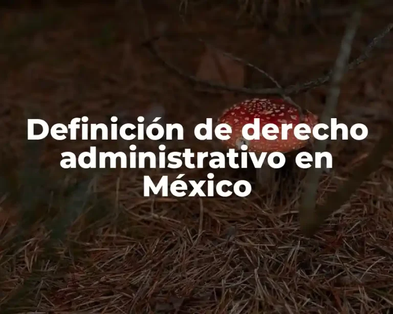 Definición de derecho administrativo en México
