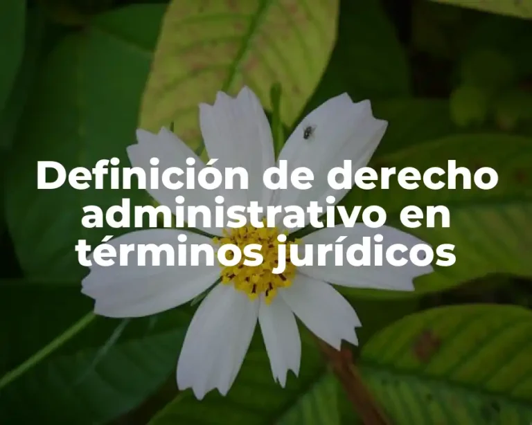Definición de derecho administrativo en términos jurídicos