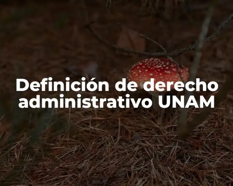 Definición de derecho administrativo UNAM