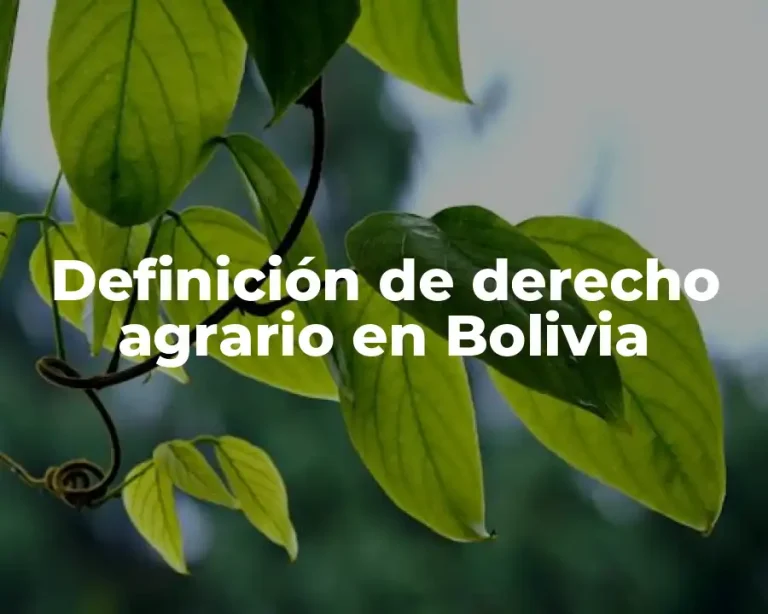 Definición de derecho agrario en Bolivia
