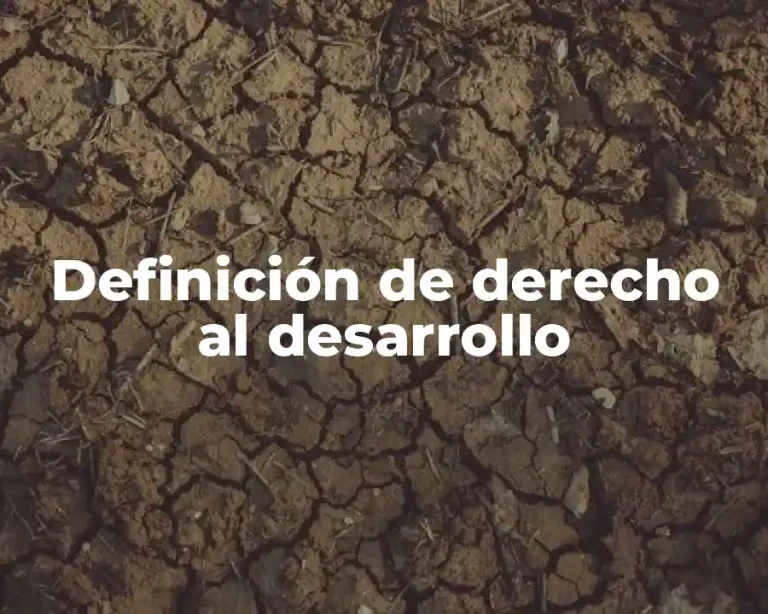 Definición de derecho al desarrollo
