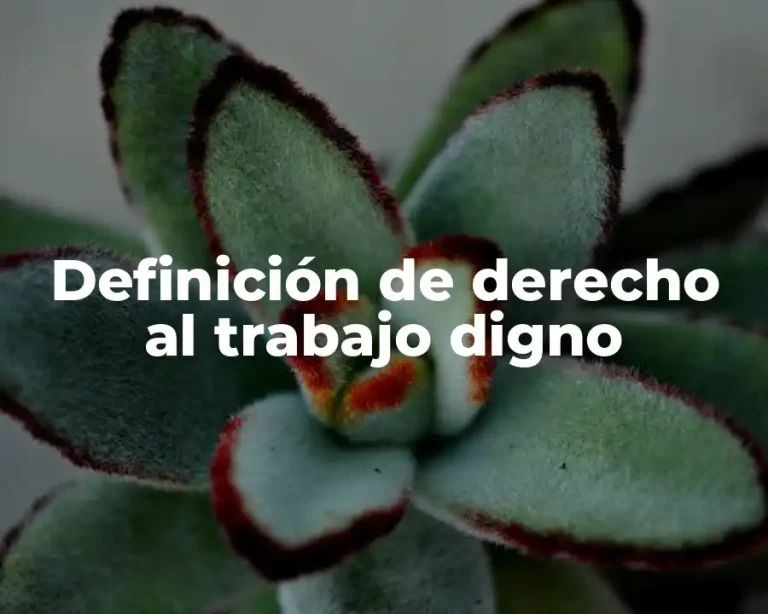 Definición de derecho al trabajo digno