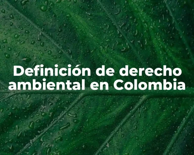 Definición de derecho ambiental en Colombia