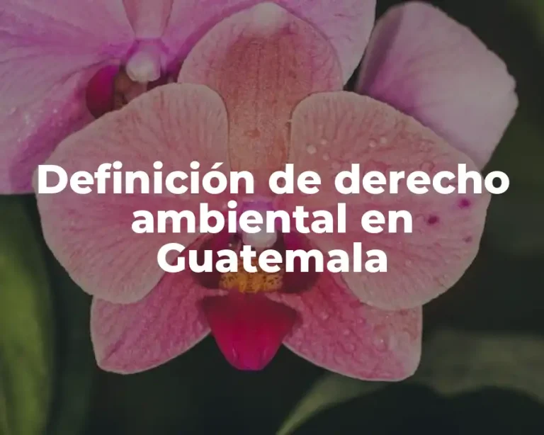 Definición de derecho ambiental en Guatemala