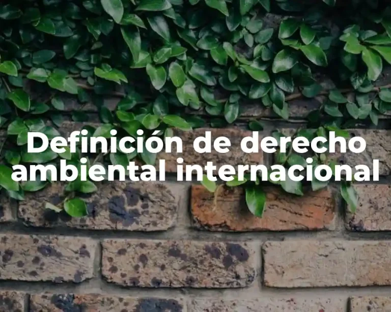 Definición de derecho ambiental internacional