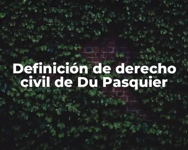 Definición de derecho civil de Du Pasquier