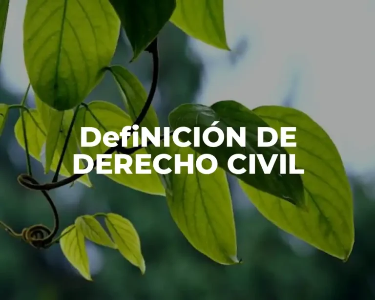 DefiNICIÓN DE DERECHO CIVIL