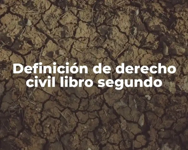 Definición de derecho civil libro segundo