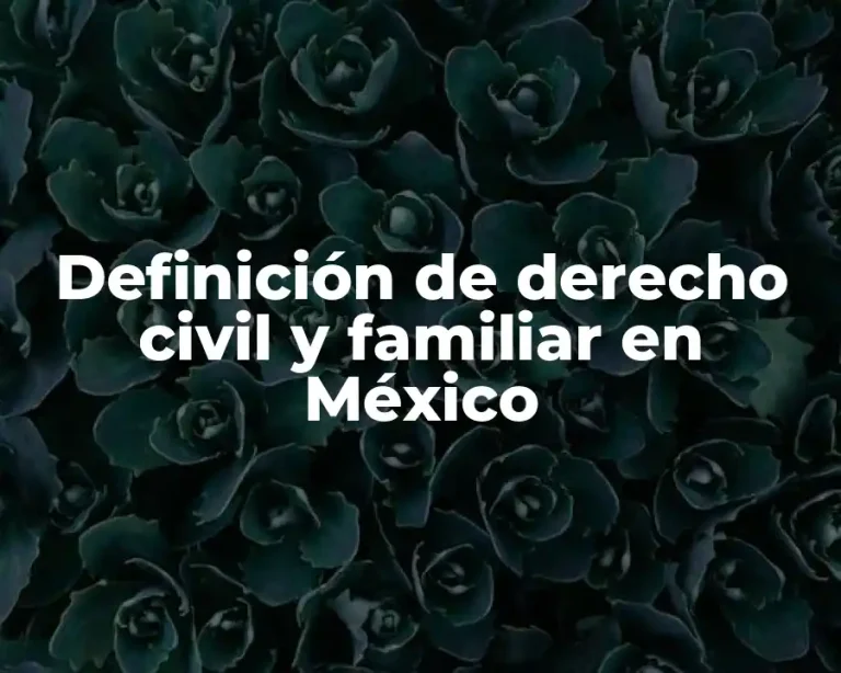 Definición de derecho civil y familiar en México