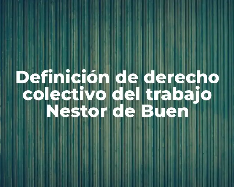 Definición de derecho colectivo del trabajo Nestor de Buen