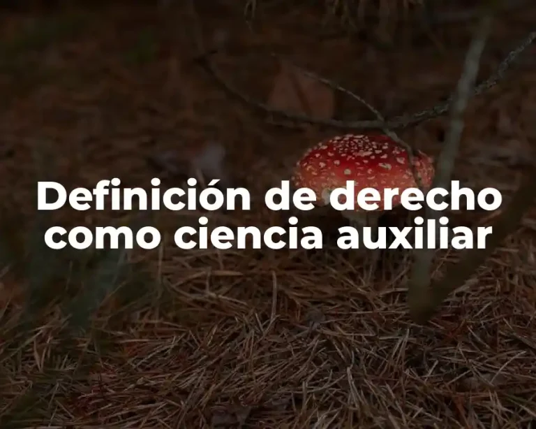Definición de derecho como ciencia auxiliar